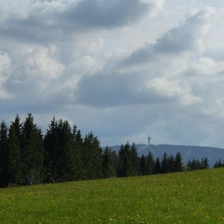 Ferienunterkuenfte Kreissl Курорт Обервизенталь Экстерьер фото
